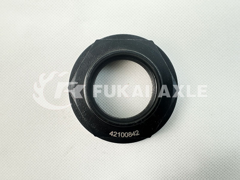 Ивеко Гайка